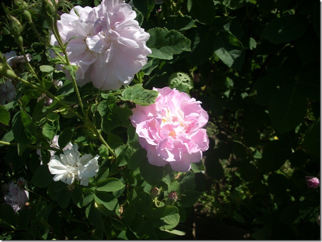 047