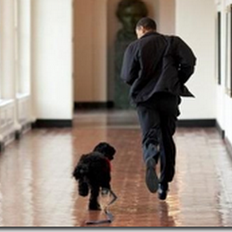 White House now on Facebook to Increase Transparency