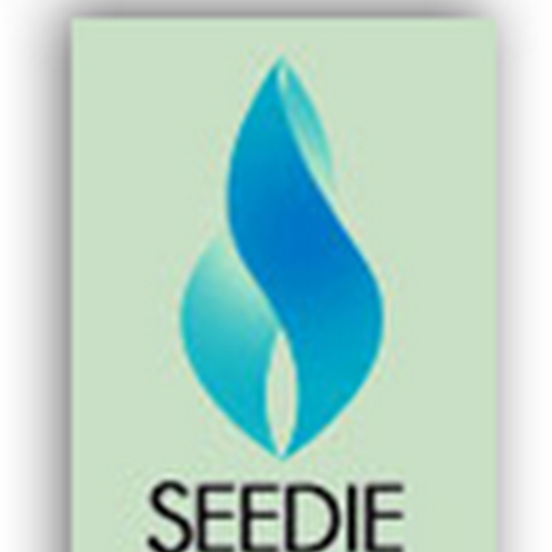 SEEDIE Begins Process of Certifying EHR Vendor Salespeople (Humor)