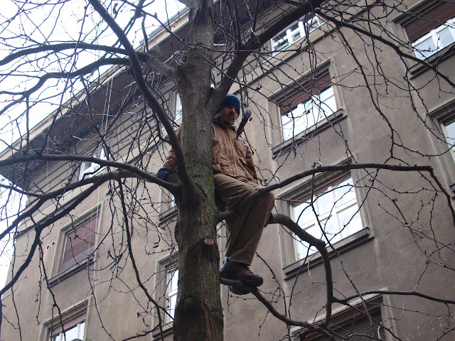 Var�avska 22. sije�nja 2010