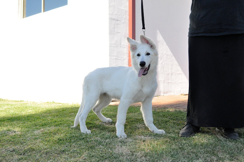  Welcome to Australia   Thor and Inga