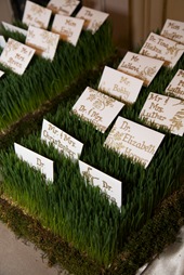 escort card bed of wheat grass sweetchic events
