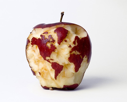 [mundo en manzana[4].jpg]