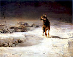 Wilk
