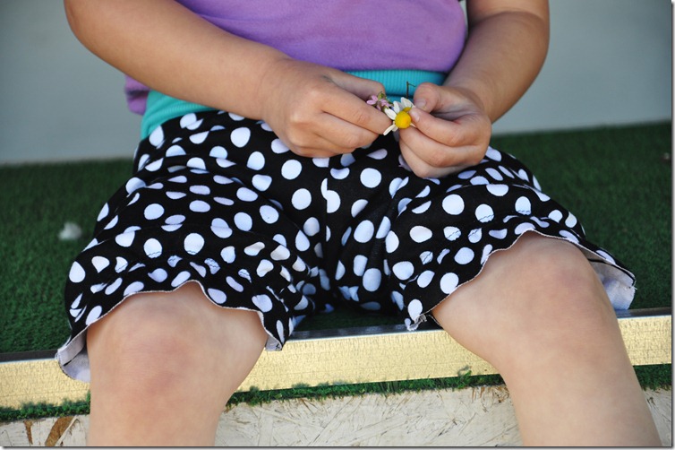 shortcake knickers 083 shortcake knickers 083