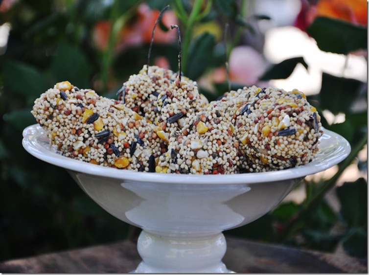 bird food craft 017