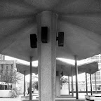 IMG_8779.JPG