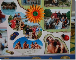particolare2