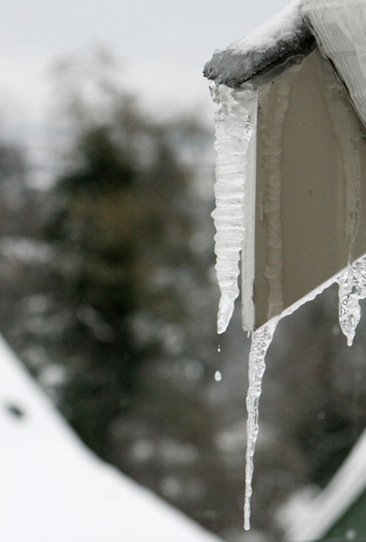 [Icicles1[3].jpg]