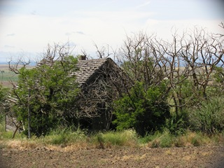 TripToKimrys 021