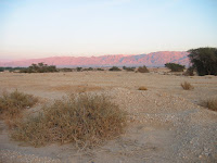IMG_2212.JPG