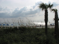 IMG_2652.JPG