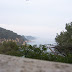 100_7055.jpg