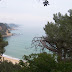 100_7061.jpg