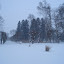 20100103_5099.JPG