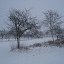 20100103_5105.JPG