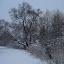 20100103_5109.JPG