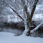 20100103_5114.JPG