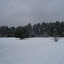 20100110_5130.JPG