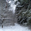 20100110_5131.JPG