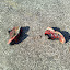 18042010556.jpg