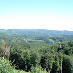 Wunderschöne Wälder