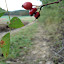 DSC05227_bearbeitet-1_edTMP-1.JPG