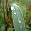 DSC05224_JTMP1dd1.JPG