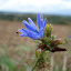 DSC05231.JPG