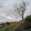 DSC05232_bearbeitet-1.JPG
