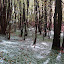 DSC05245_bearbeitet-1_edTMP-1.JPG