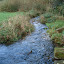 DSC05254.JPG