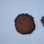 20091213_5034.JPG