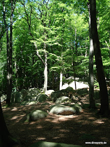 20100605_5898.JPG