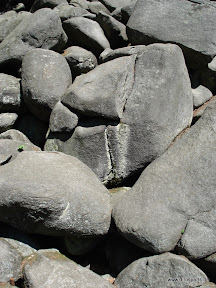20100605_5906.JPG