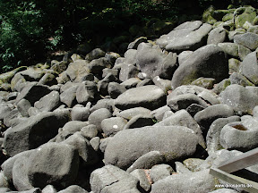 20100605_5907.JPG