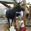 20100720_6637.JPG