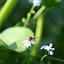 20100719_6354.JPG