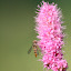 20100719_6357.JPG