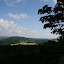 IMG_5110.JPG