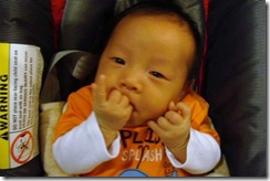 DSC06299 (Small)