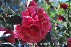 ParcoBotanico-0264