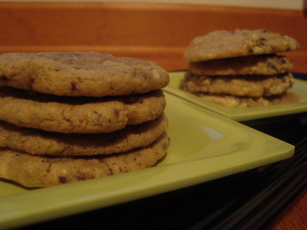 [DSC06031[4].jpg]