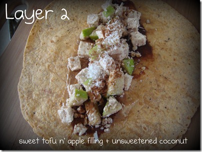 LAyer 2_wrap 3