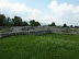 P1000726.JPG