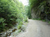 P1000521.JPG