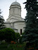 cocosu_0011.jpg