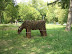 curte_domneasca_targoviste_0036.JPG
