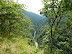 P1000749.JPG