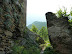 P1000753.JPG
